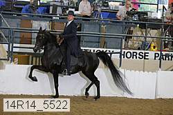 14r14_5522 proof
