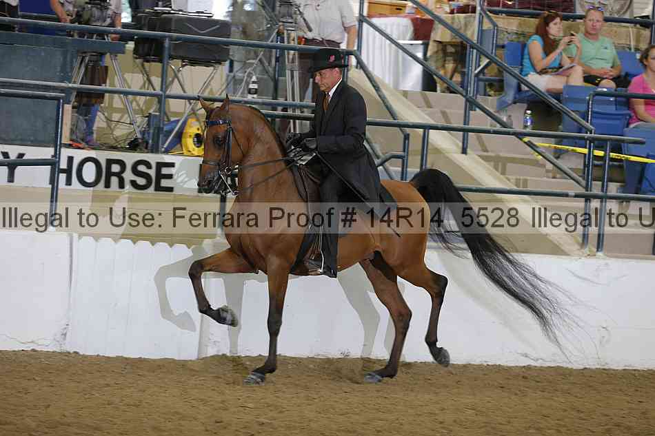 Proof 14r14_5528