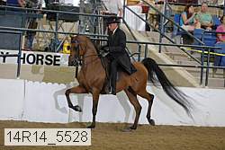 14r14_5528 proof
