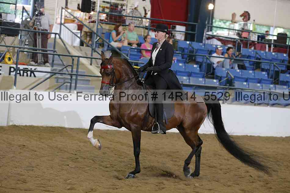 Proof 14r14_5529