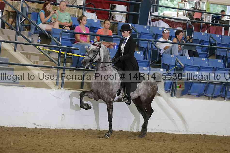 Proof 14r14_5530
