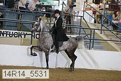 14r14_5531 proof