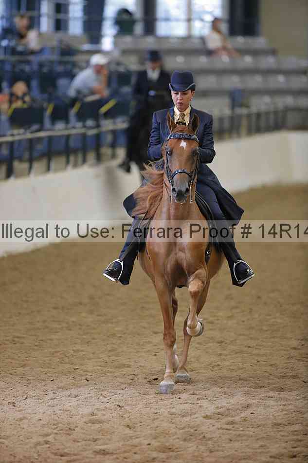 Proof 14r14_5532