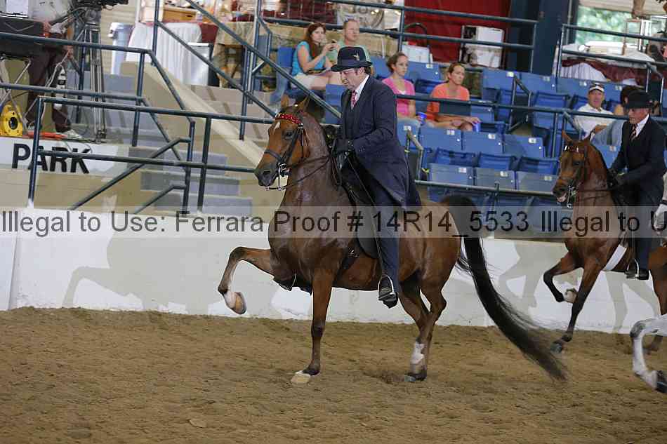 Proof 14r14_5533