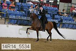 14r14_5534 proof