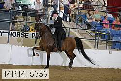 14r14_5535 proof