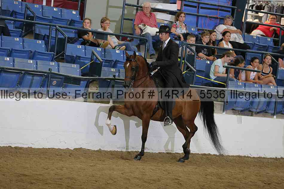 Proof 14r14_5536