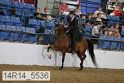 14r14_5536 proof