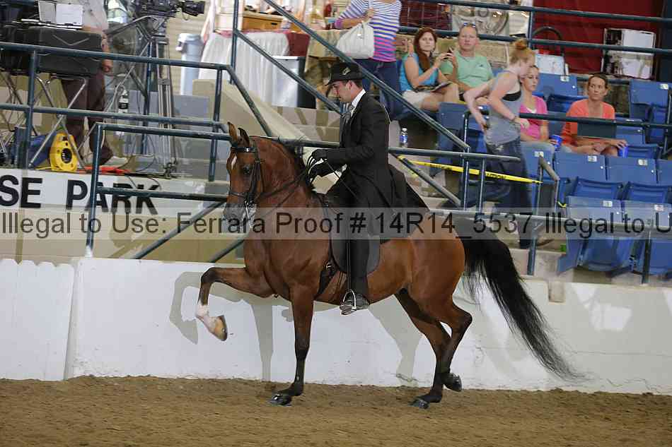 Proof 14r14_5537