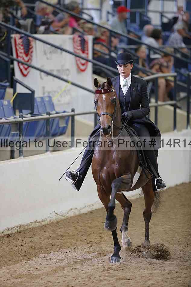 Proof 14r14_5539