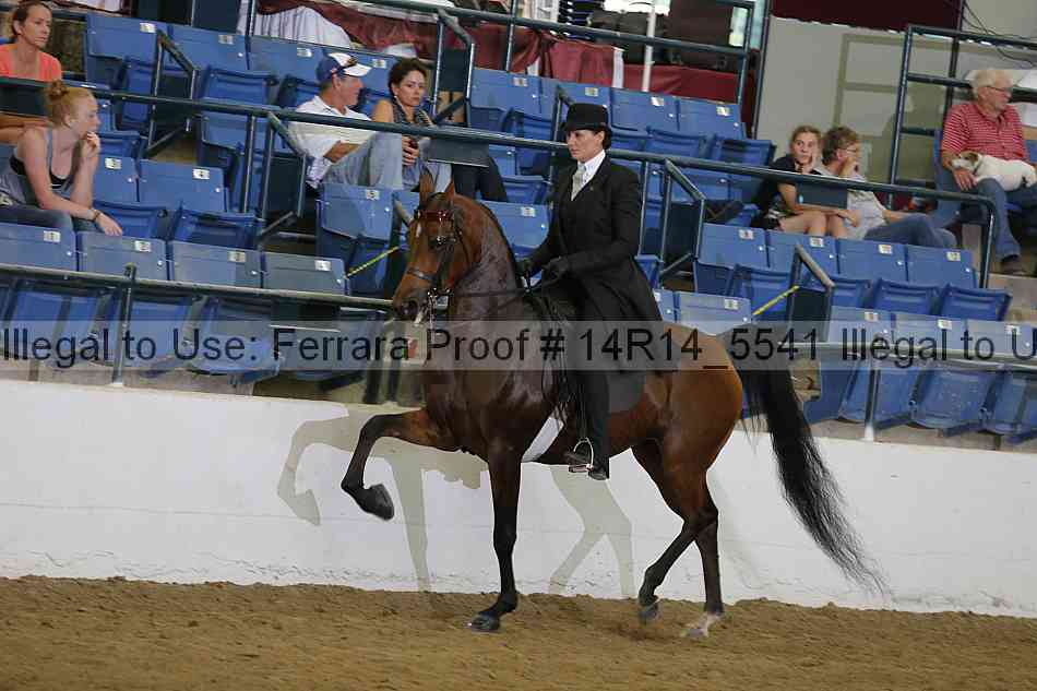Proof 14r14_5541