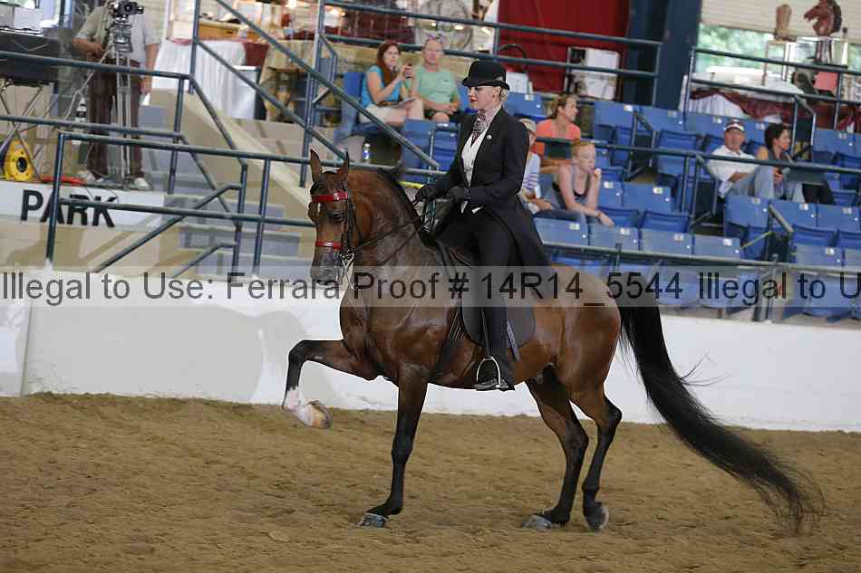 Proof 14r14_5544