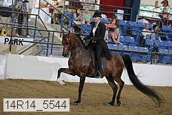 14r14_5544 proof