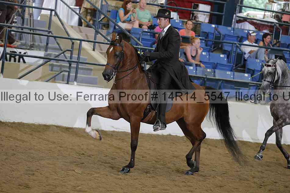 Proof 14r14_5547