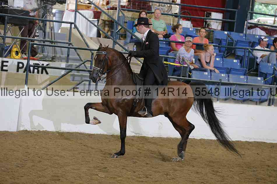 Proof 14r14_5548