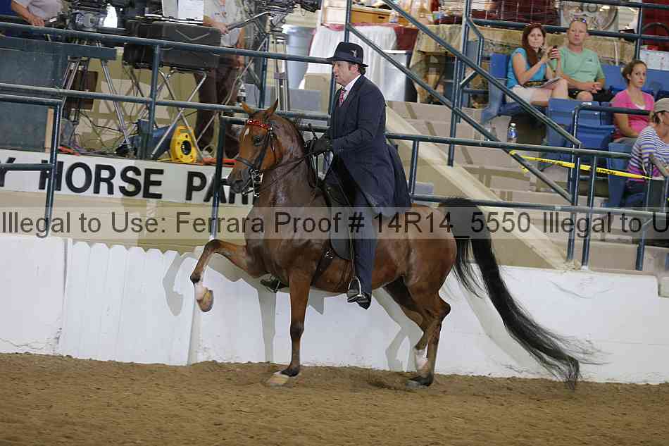 Proof 14r14_5550