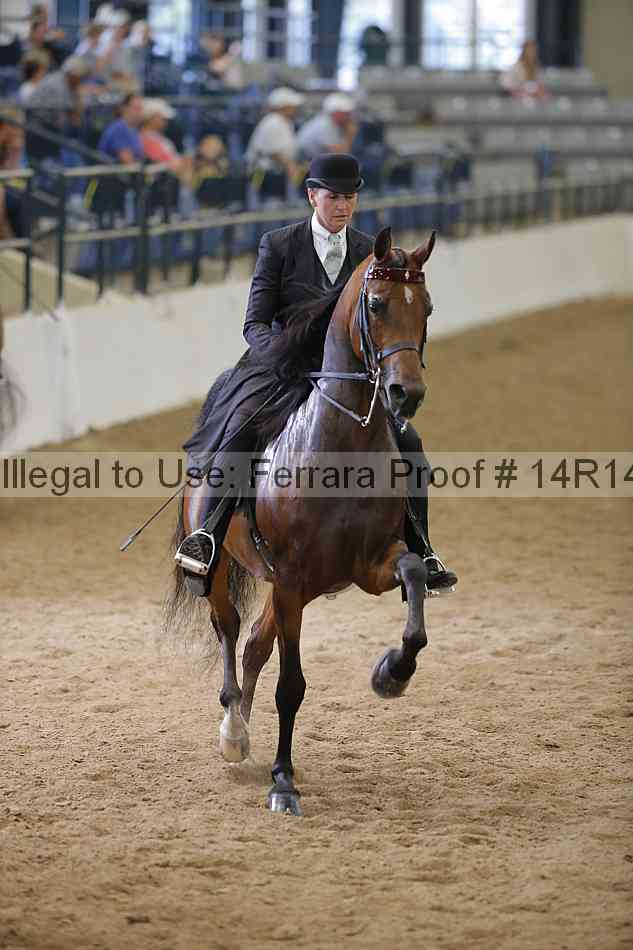 Proof 14r14_5553