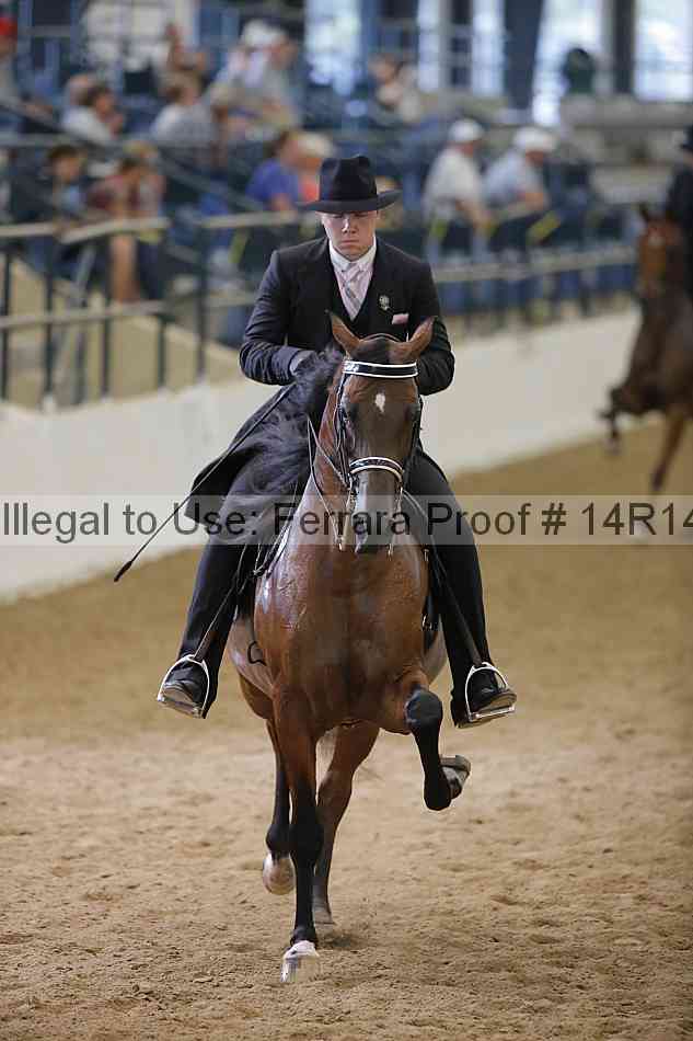 Proof 14r14_5555