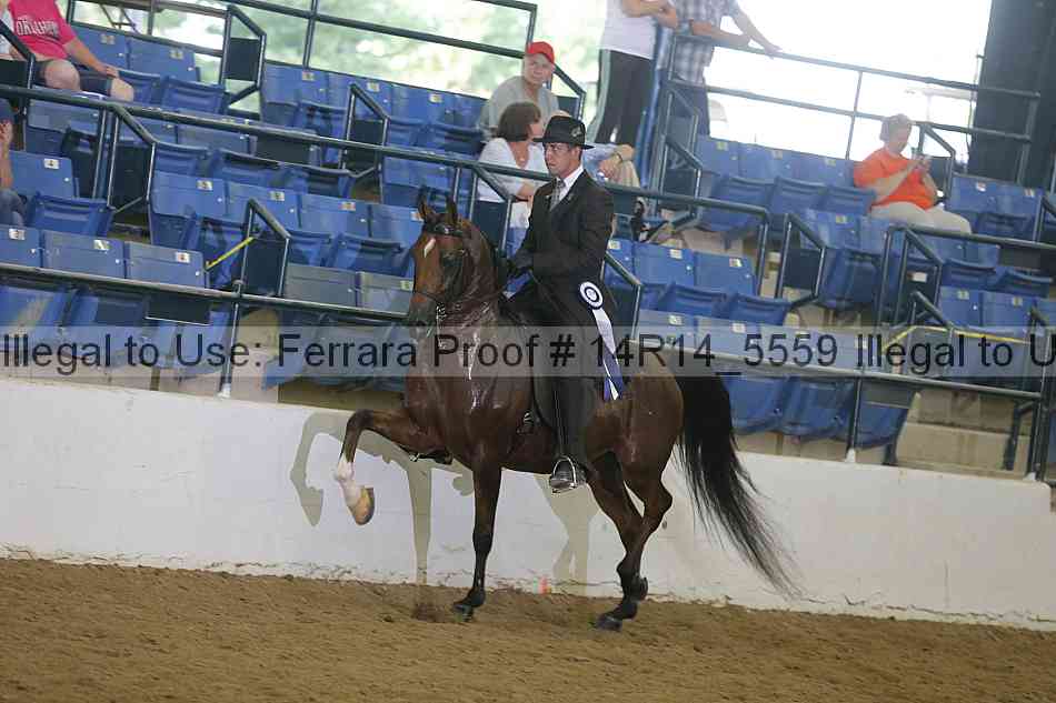 Proof 14r14_5559