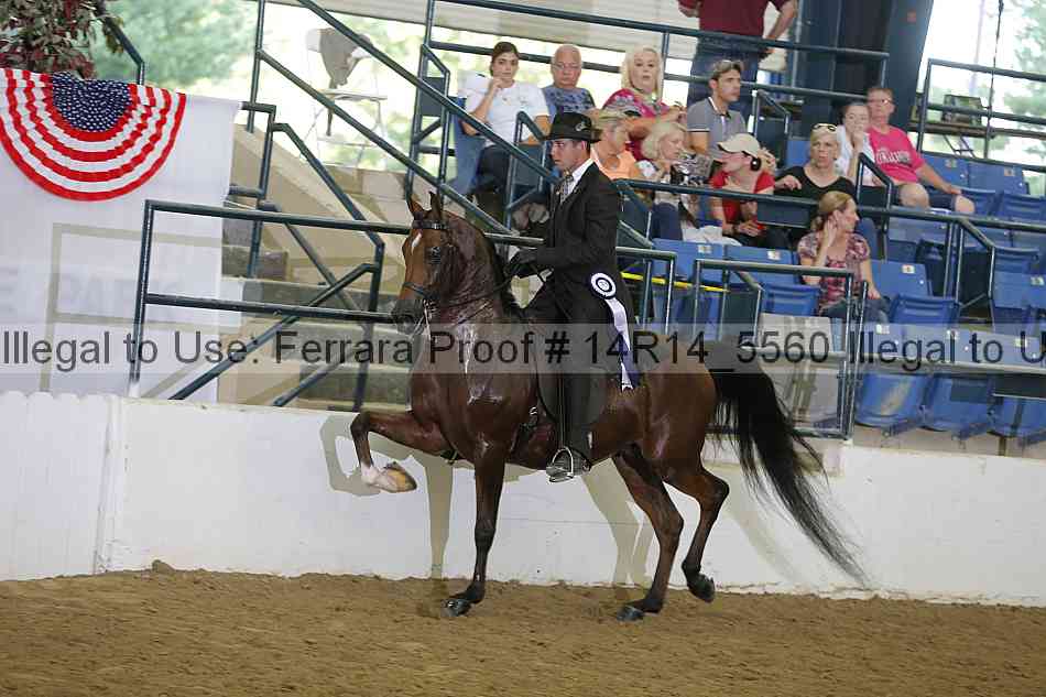 Proof 14r14_5560