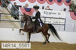 14r14_5561 proof
