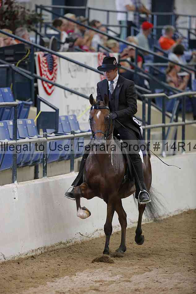 Proof 14r14_5563