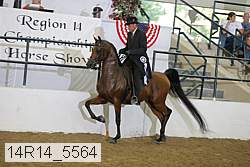14r14_5564 proof