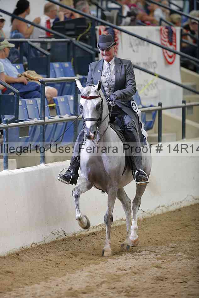 Proof 14r14_5565