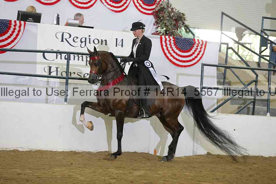 Proof 14r14_5567