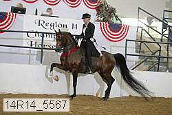 14r14_5567 proof