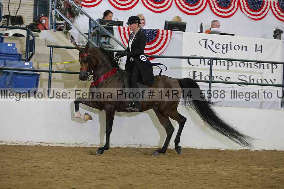 Proof 14r14_5568