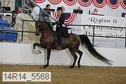 14r14_5568 proof