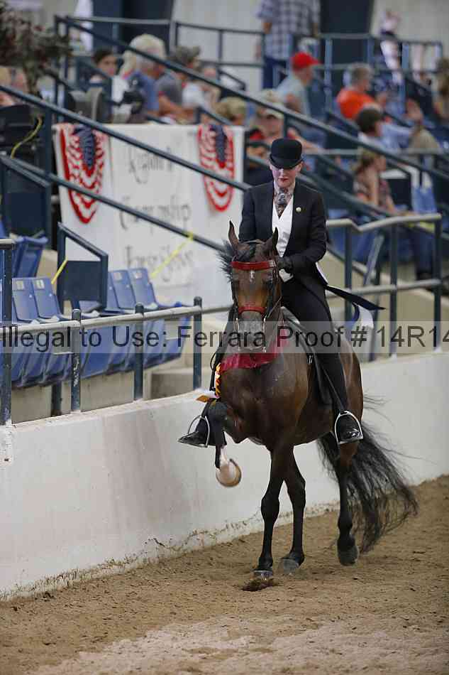 Proof 14r14_5569