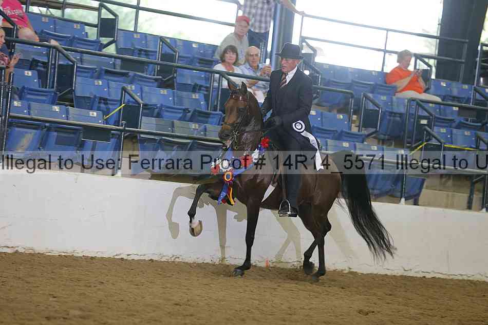 Proof 14r14_5571