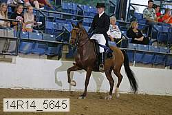 14r14_5645 proof