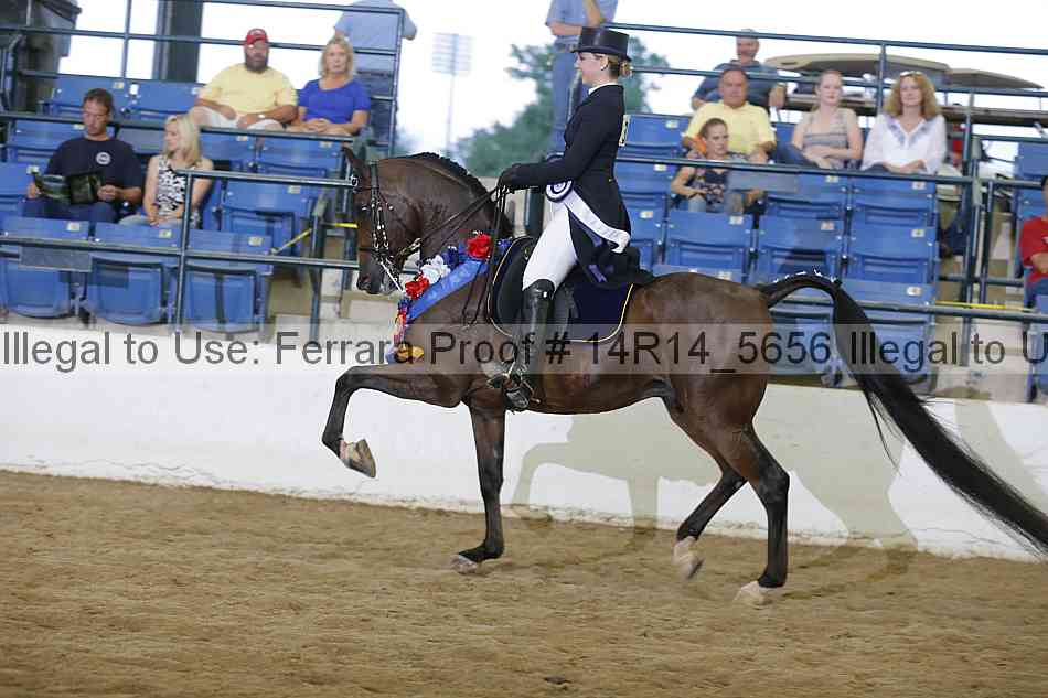 Proof 14r14_5656