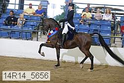14r14_5656 proof