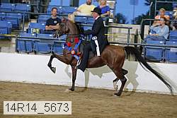 14r14_5673 proof