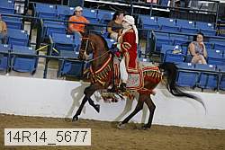 14r14_5677 proof