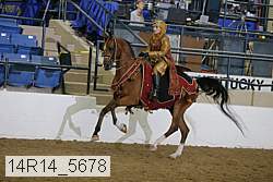 14r14_5678 proof