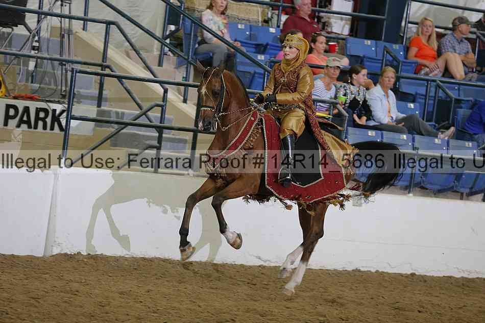 Proof 14r14_5686