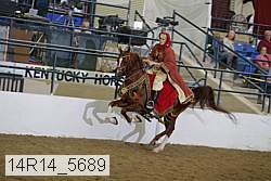 14r14_5689 proof