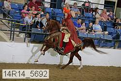 14r14_5692 proof