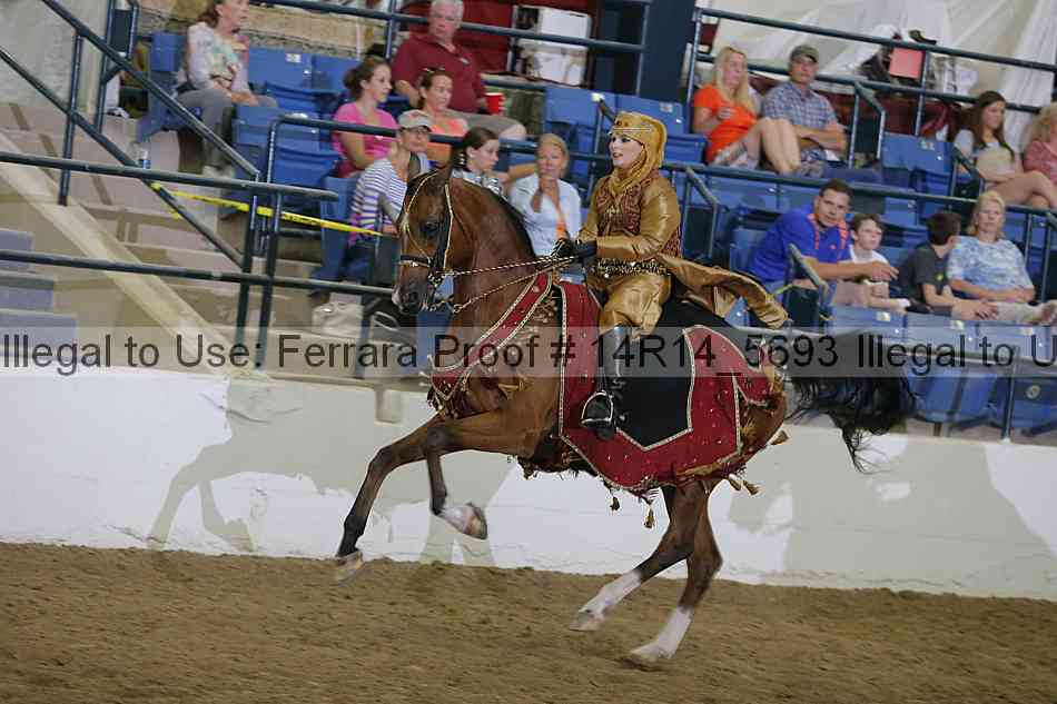 Proof 14r14_5693