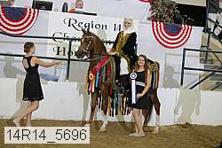 14r14_5696 proof