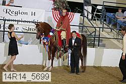 14r14_5699 proof