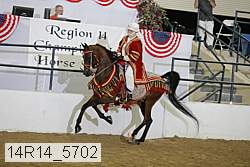 14r14_5702 proof
