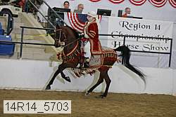 14r14_5703 proof