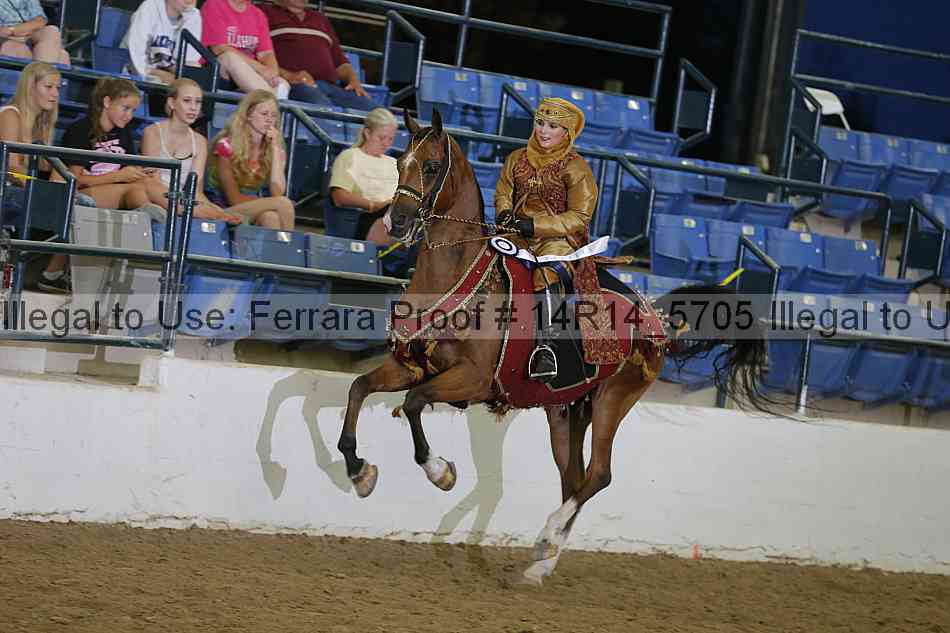 Proof 14r14_5705