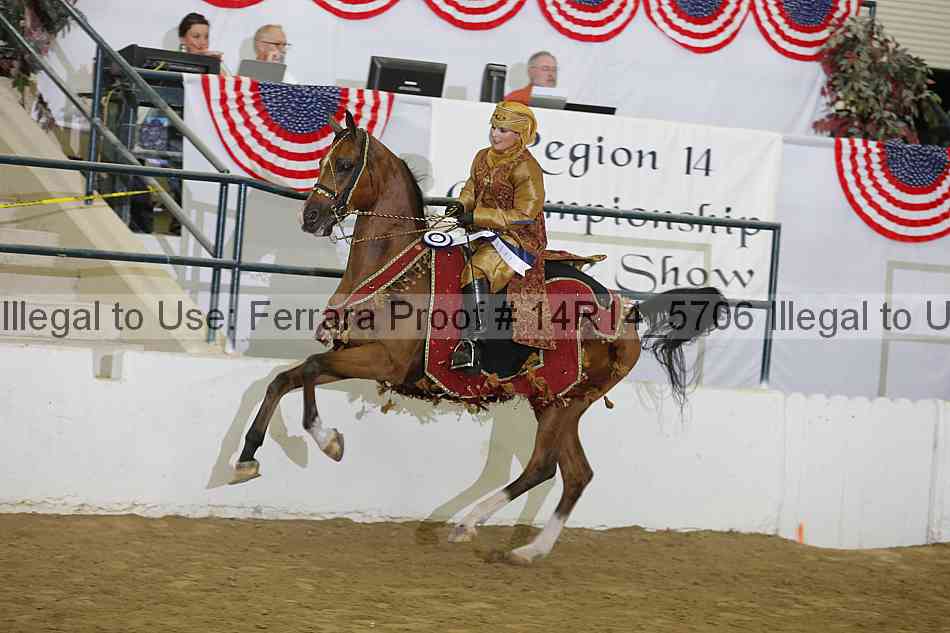 Proof 14r14_5706